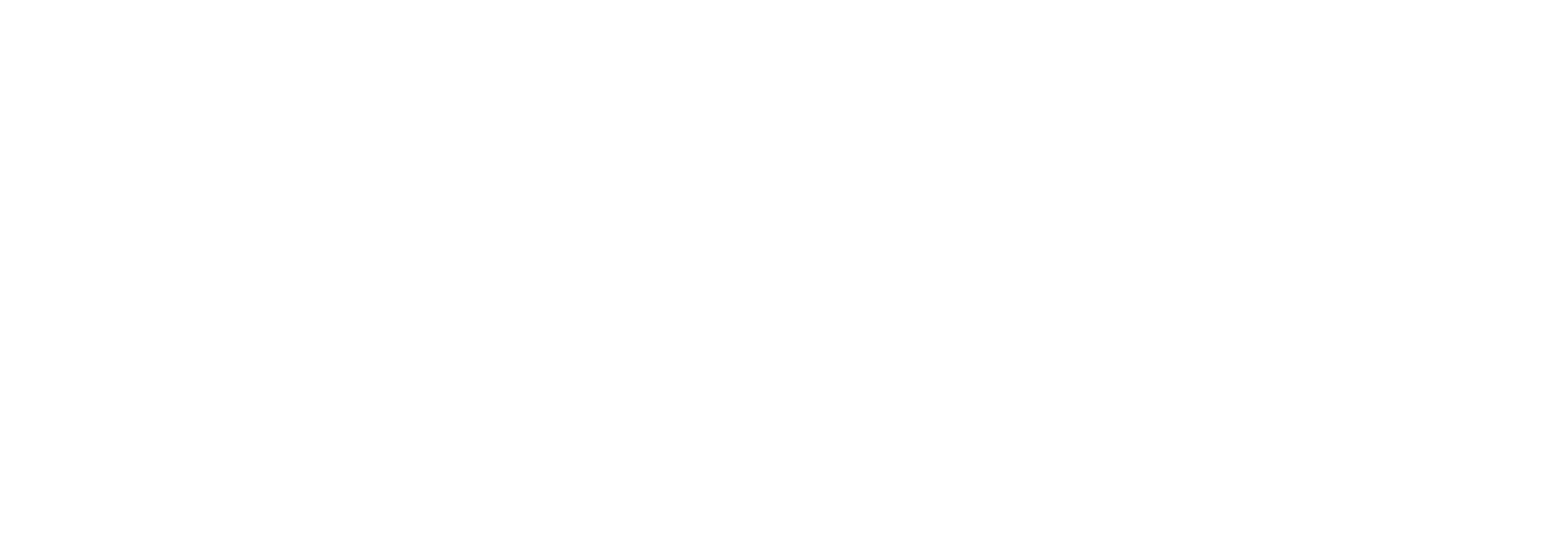 Universidad del Desarrollo